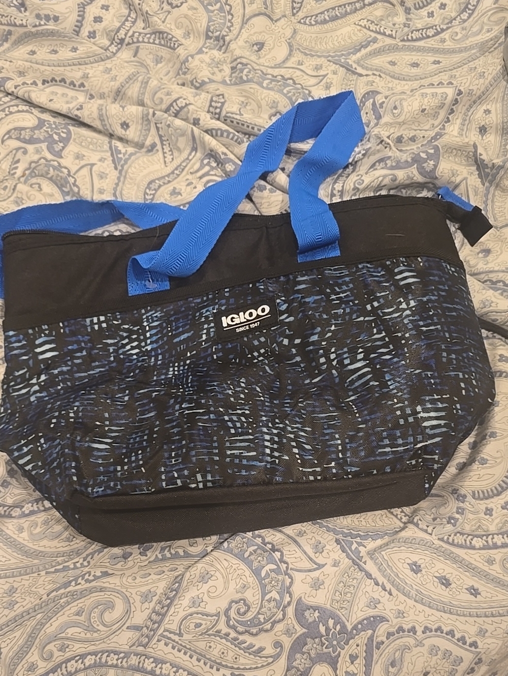 ❤️10/$40 New Without Tag Igloo Bag Cooler